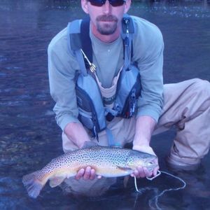 Meet your Posher, Alan t